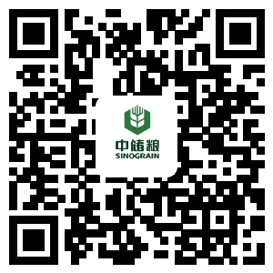 1733206236711349.png 640.webp (37).png