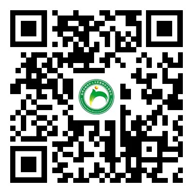 1735615545896803.jpg 640 (17).jpg