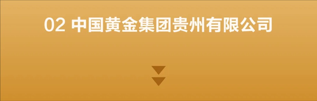 1772086023863120.jpg 2.1.jpg